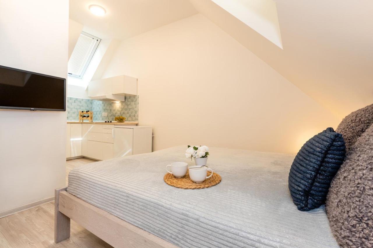 Apartmany Jedovary Trhové Sviny المظهر الخارجي الصورة